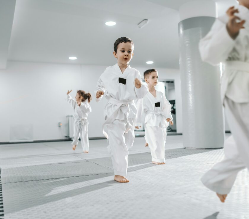 martial arts software, Trial Management