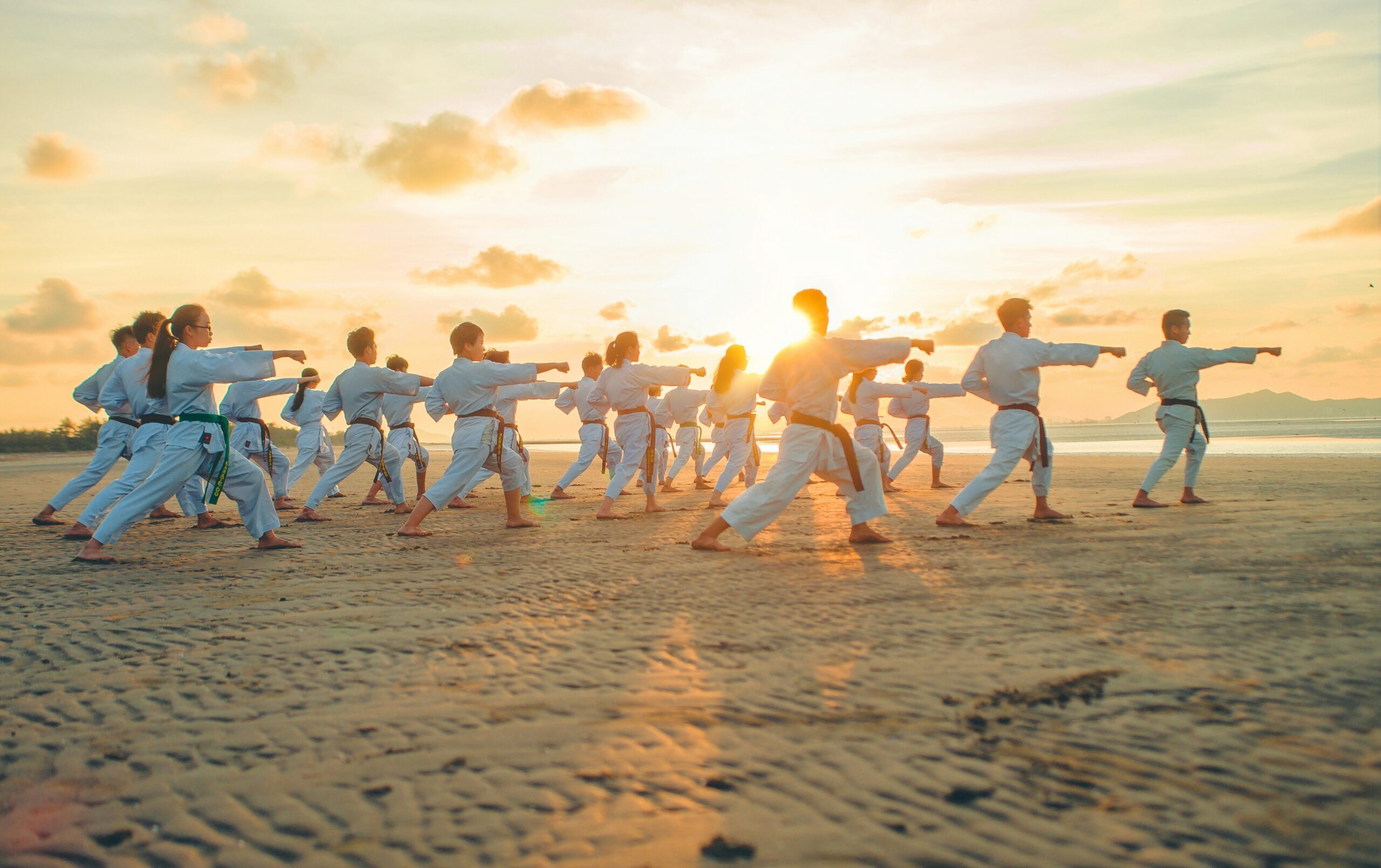 Best Martial Arts School Management Software